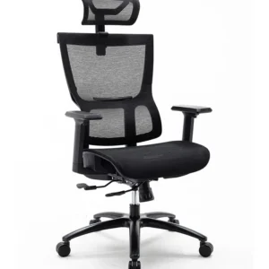 Ghế công thái học Warrior WEC506 (Đen)